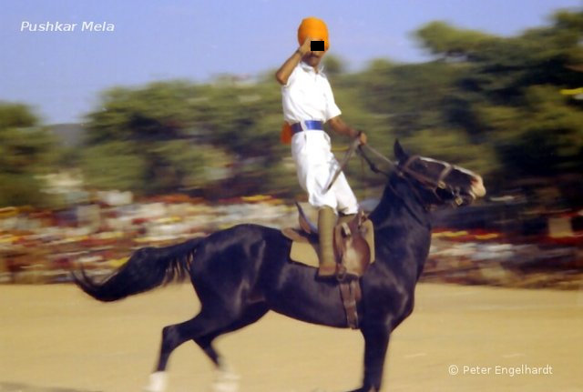 Parade eines Reiters der indischen Kavallerie auf dem offiziellen Festplatz beim Pushkar Mela.